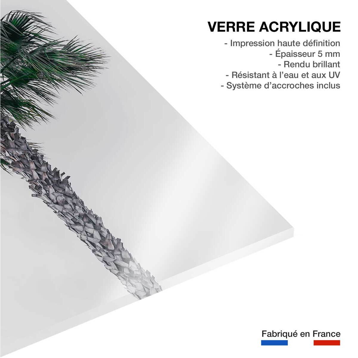 Tableau coconut palm Tableau plexiglas
