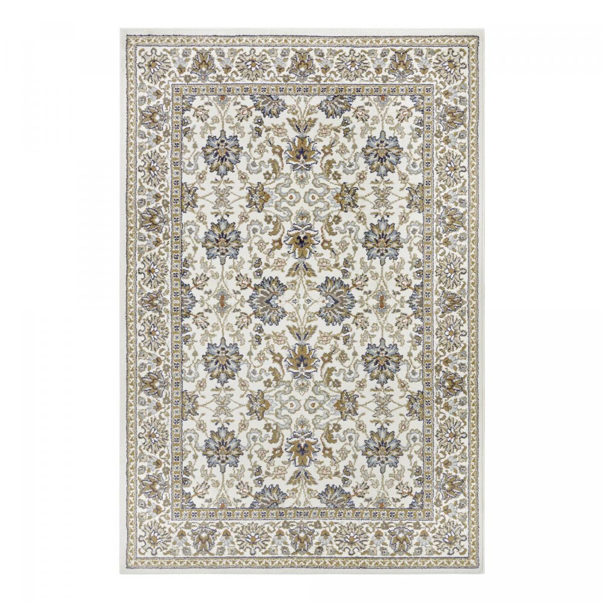Tapis salon Rectangulaire Oriental