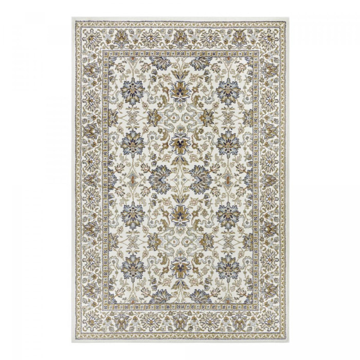 Tapis salon Rectangulaire Oriental