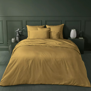 Drap housse b40 Ava uni gold