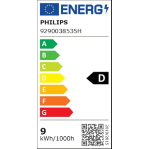 Ampoule LED connectée PHILIPS HUE E27 White&Color Ambiance pack de 2