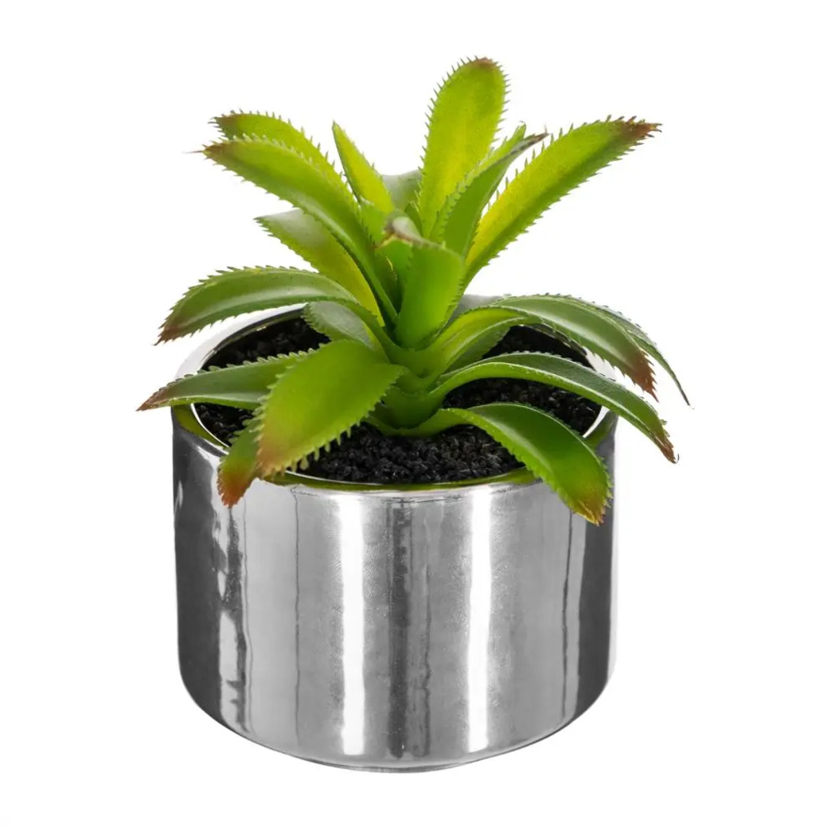 Plante verte pot céramique H.15