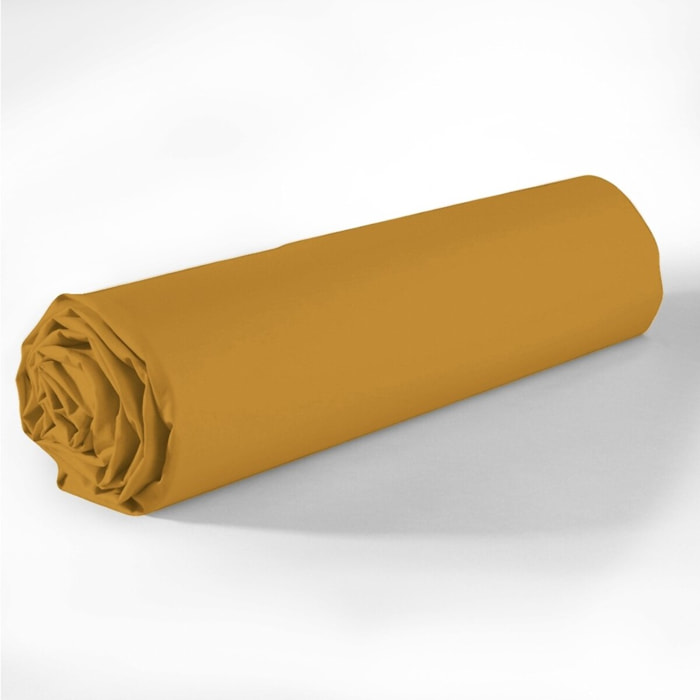 Drap housse coton safran