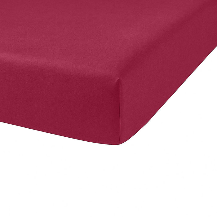 Drap housse coton 57fils uni - bonnet 35cm cerise