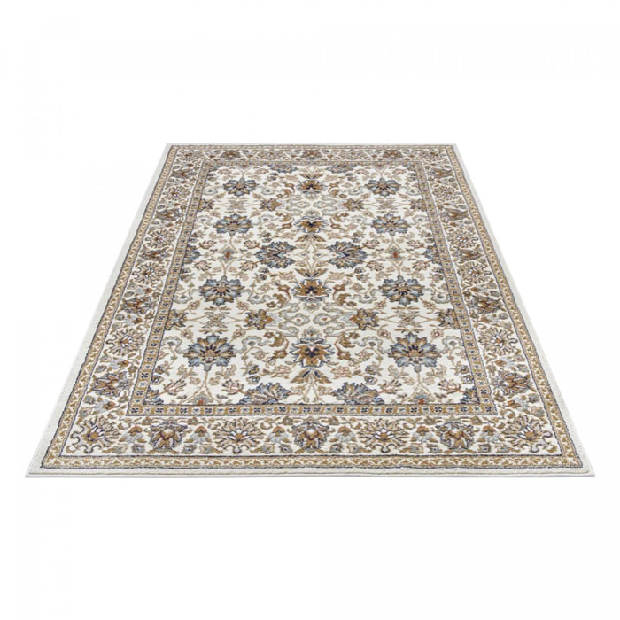 Tapis salon Rectangulaire Oriental