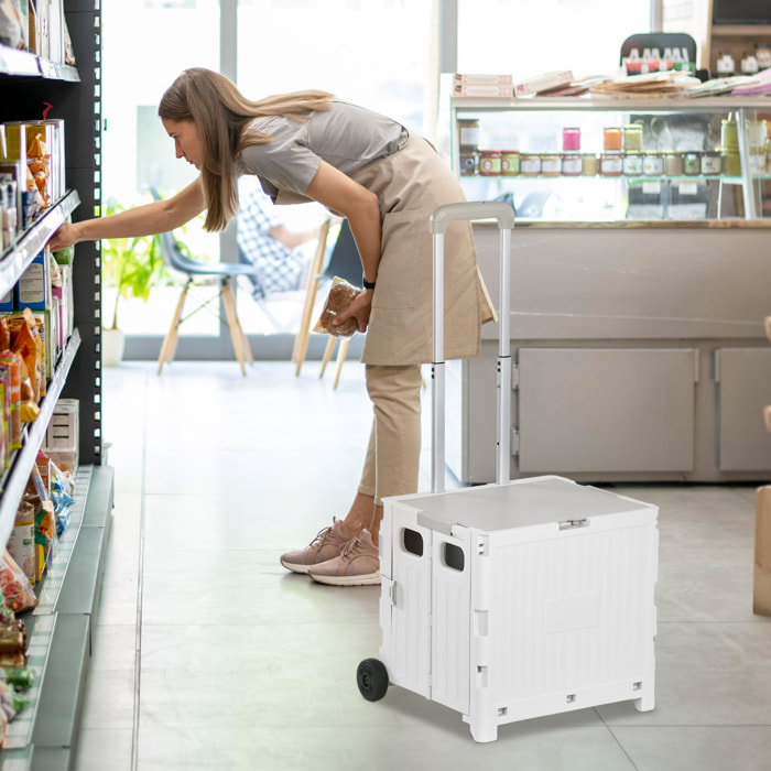 Carrito de la Compra Plegable Carrito para Supermercado con 2 Ruedas Longitud de Mango Ajustable Capacidad 32 Litros para Oficina Escuela Hogar 41,5x32,5x85 cm Blanco