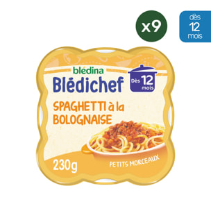 9 Assiettes Spaghetti à la Bolognaise (9x230g) - Blédichef Dès 12 Mois