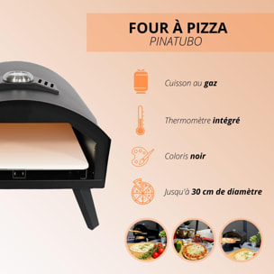 Four à pizza à gaz extérieur avec pelle PINATUBO L51xl41cm
