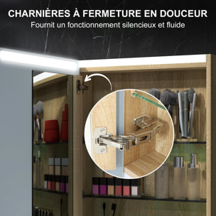 Armoire murale salle de bain  1 porte miroir lumineux LED intégré 50 x 70 cm 2 étagères verre effet bois