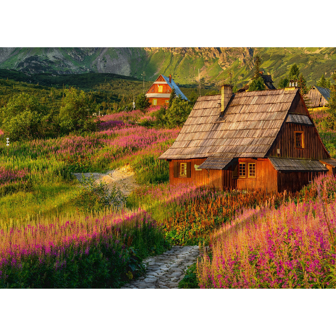 Copripiumino Stampa Digitale Disegno Svizzera Misura Letto Matrimoniale