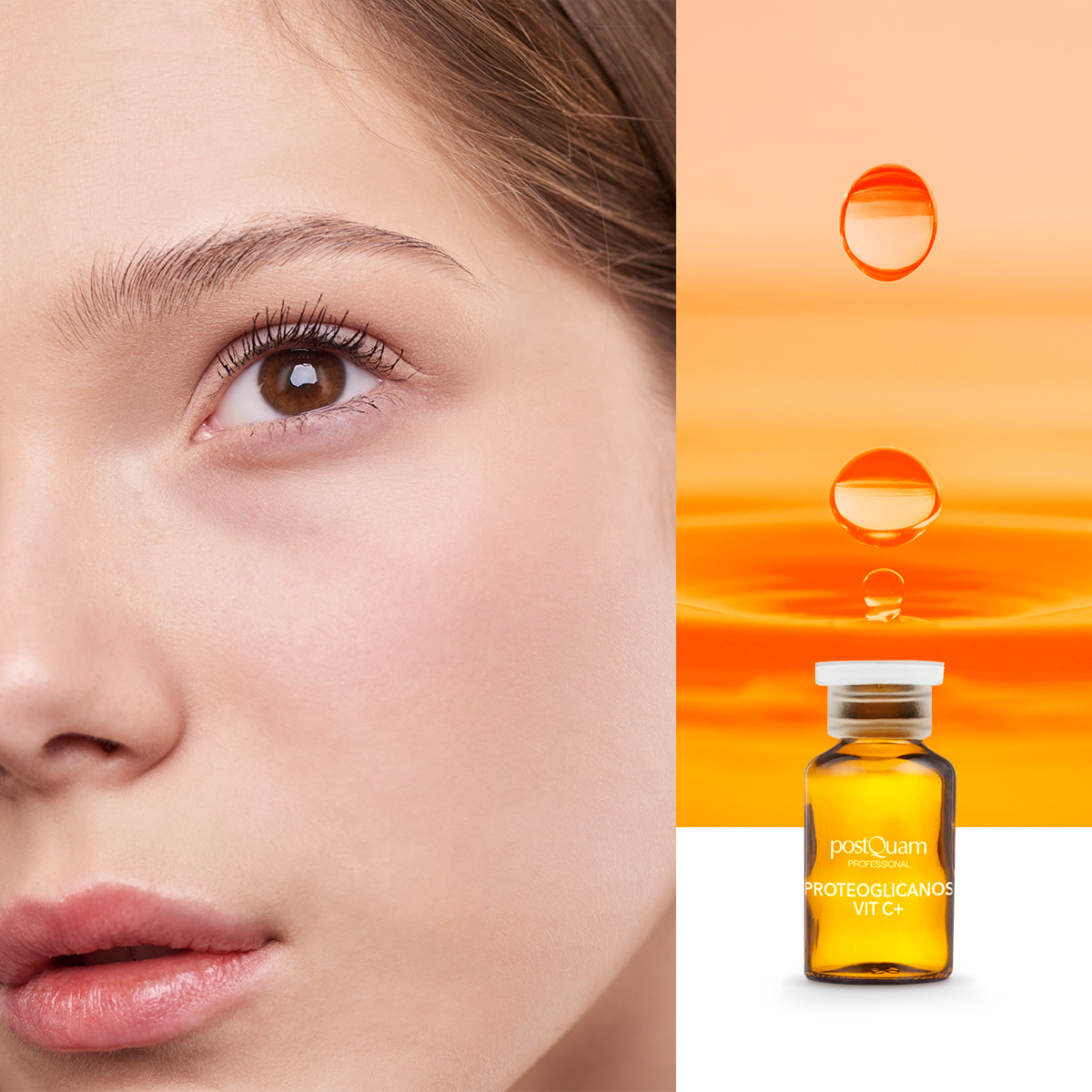 Protéoglycanes vitamine c 10*2ml
