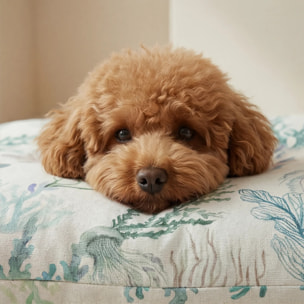 Housse antitaches pour lit pour animal Tim Eau