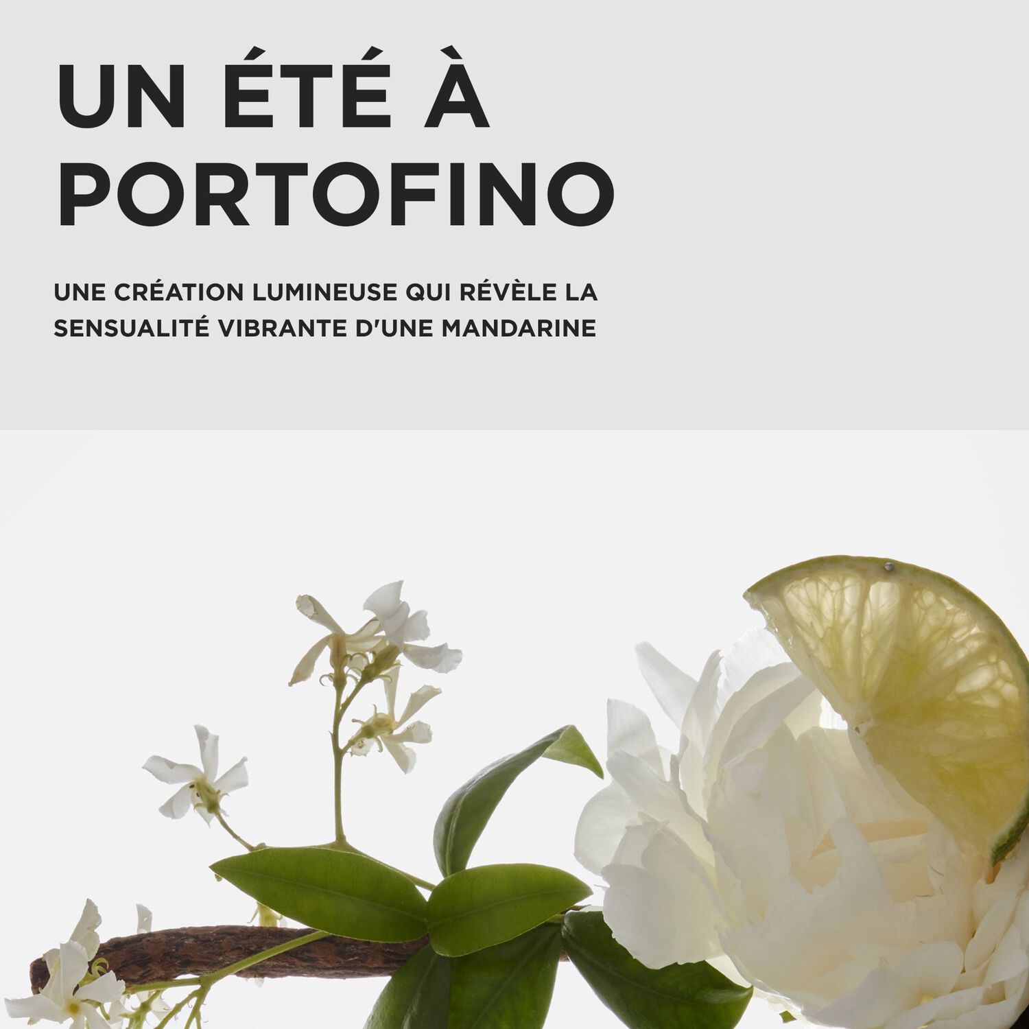 Première - Coffret Trio Traitement Bain Décalcifiant Réparateur 250ml + 2 Produits