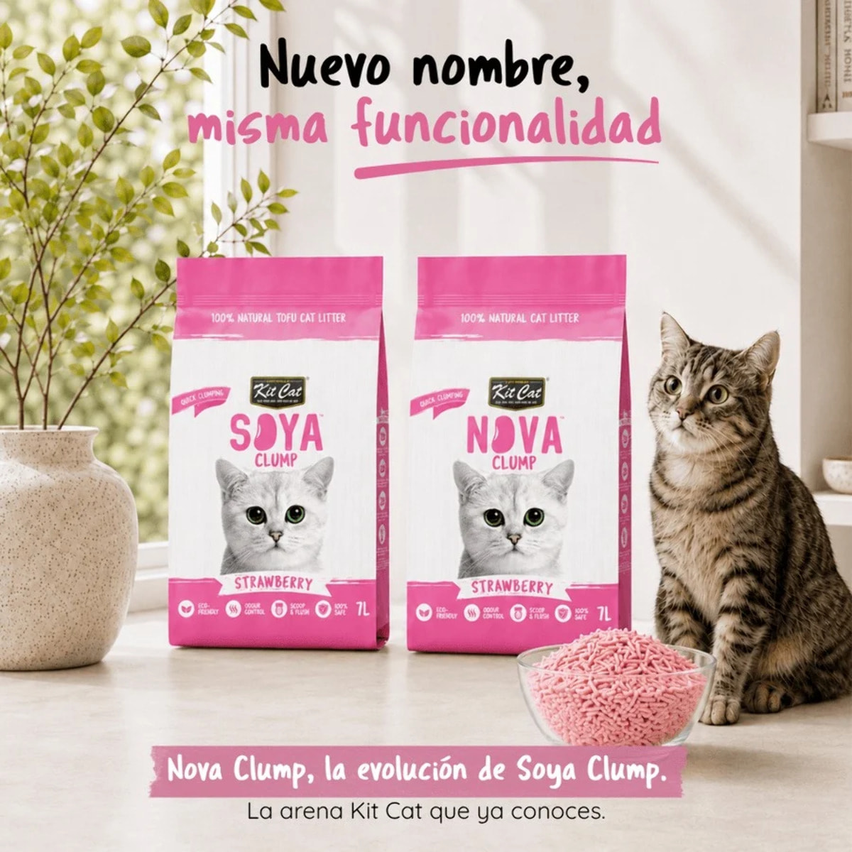 Pack 2x Kit Cat Arena Eco Nova Pack Ahorro - Strawberry 7 L Arena para gatos
