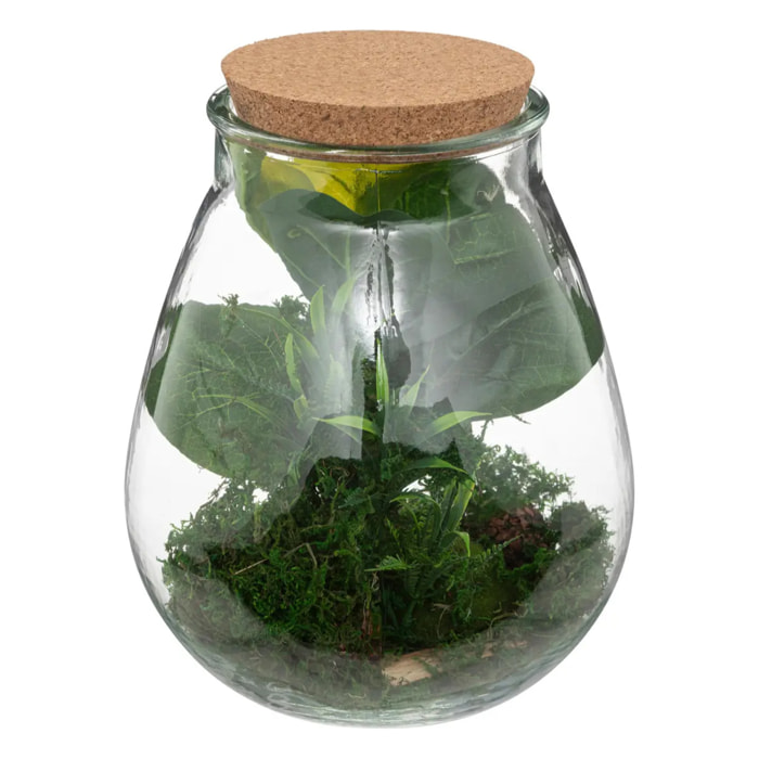 Terrarium "Bota" - verre - H29 - 5 cm