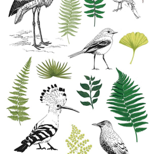 Affiche enfant tableau de la nature Affiche sous cadre noir