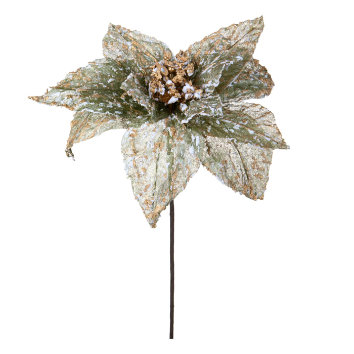 Stella natale - Pezzi 12 - 32xH50x32cm - Bianchi Dino SpA