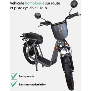 Draisienne électrique WISPEED WIMOB Plus Gris - Homologué
