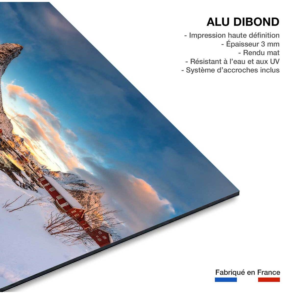 Tableau paysage Reine des Glaces Tableau alu Dibond