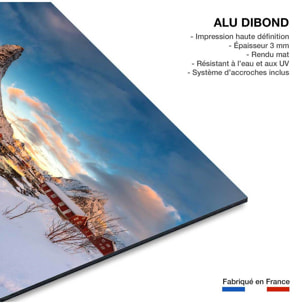 Tableau paysage Reine des Glaces Tableau alu Dibond