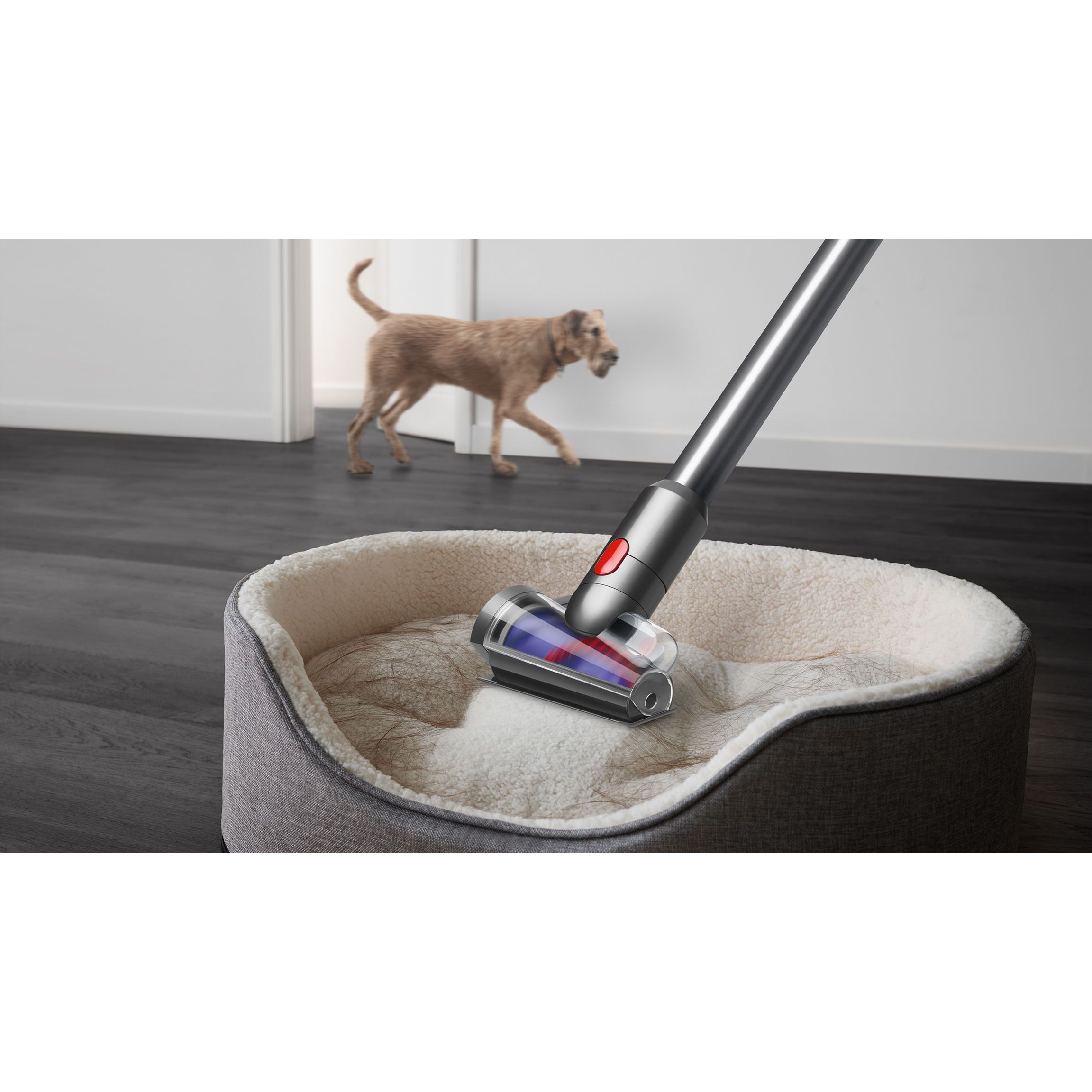 Aspirateur sans-fil Dyson V15 Detect™ Absolute (Jaune/Nickel)