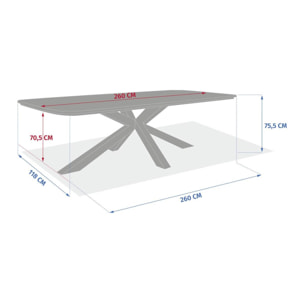 Table de jardin 10 places Oraclion marron
