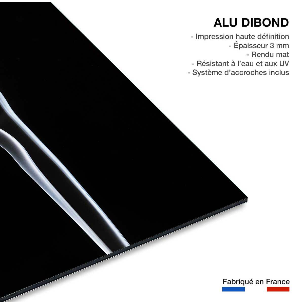 Tableau  white smoke sensual Tableau alu Dibond