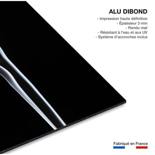 Tableau  white smoke sensual Tableau alu Dibond