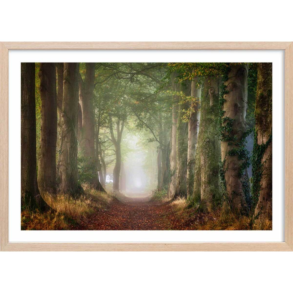 Affiche paysage sur le chemin Affiche + cadre en bois - Chêne