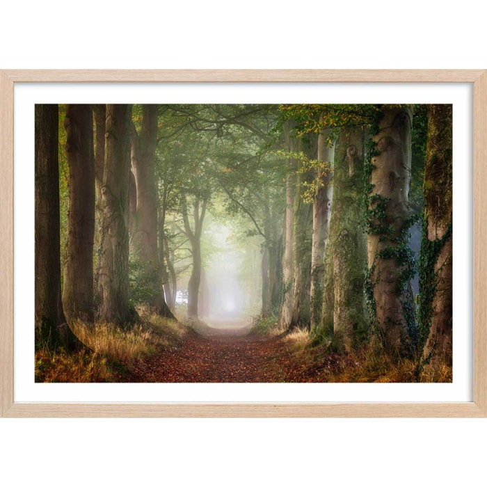 Affiche paysage sur le chemin Affiche + cadre en bois - Chêne