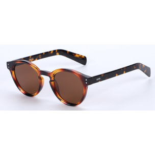 Gafas de sol OCEAN MONTREAL - Marrón demi / Marrón polarizada