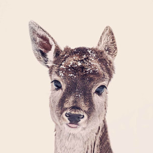 Affiche enfant biche enneigée  Affiche sous cadre noir