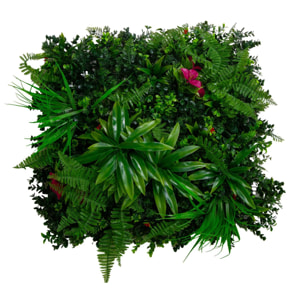 Parete verde verticale Vacchetti giungla con fiori buganville cm50x50