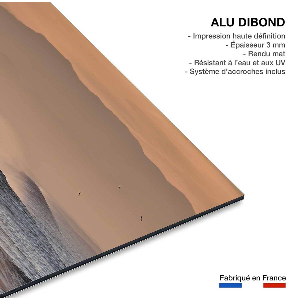 Tableau plage hossegor mouettes au pic Tableau alu Dibond