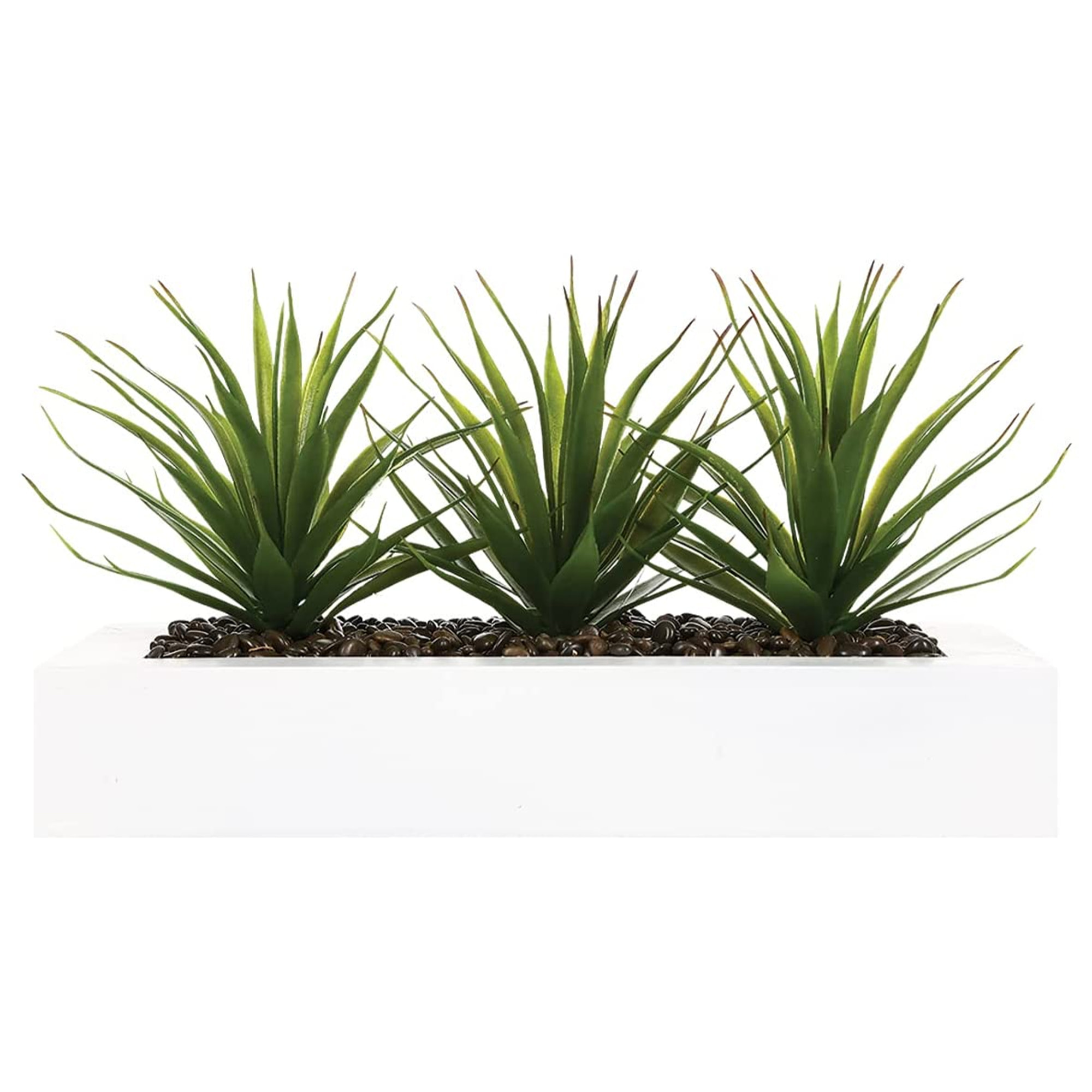 Centro de mesa - 3 Aloe Vera 17 cm- Atmosphera