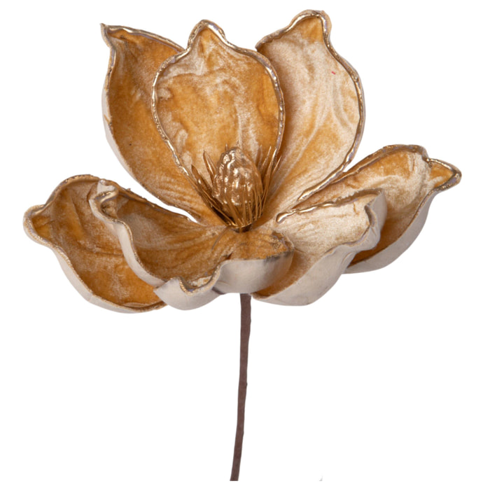 Pick magnolia - Pezzi 12 - 25xH12x25cm - Bianchi Dino SpA