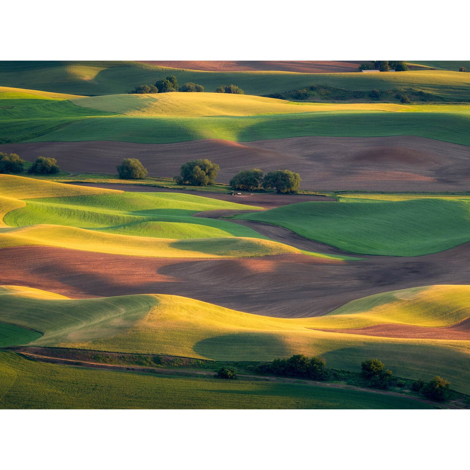 Papier peint panoramique terres agricoles Intissé