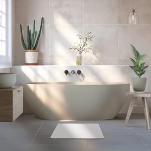 TAPIS DE BAIN DIATOMITE ECRU 60X39CM MSV