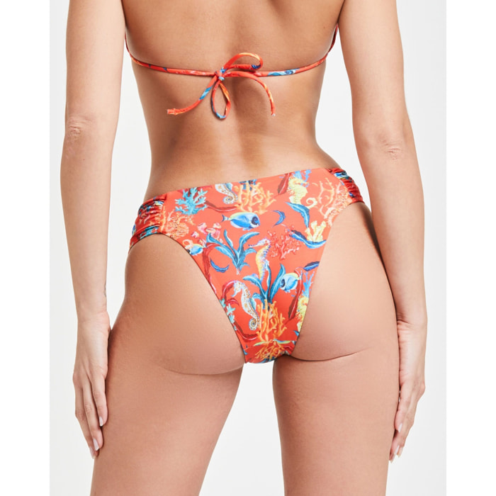 Slip Tropea