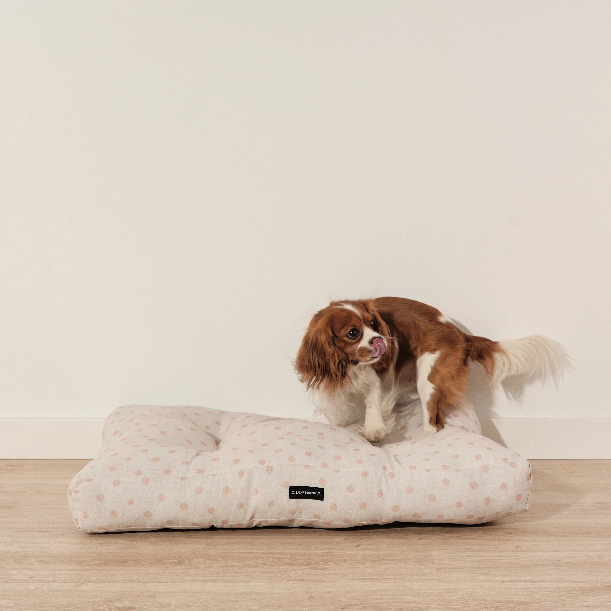 Lit épais et rembourré pour chiens et chats, 100 % coton anti-taches, pour animaux 0120-178
