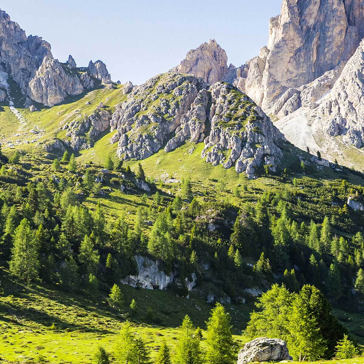 Tableau panoramique massif rocheux et alpages verdoyants été Toile imprimée
