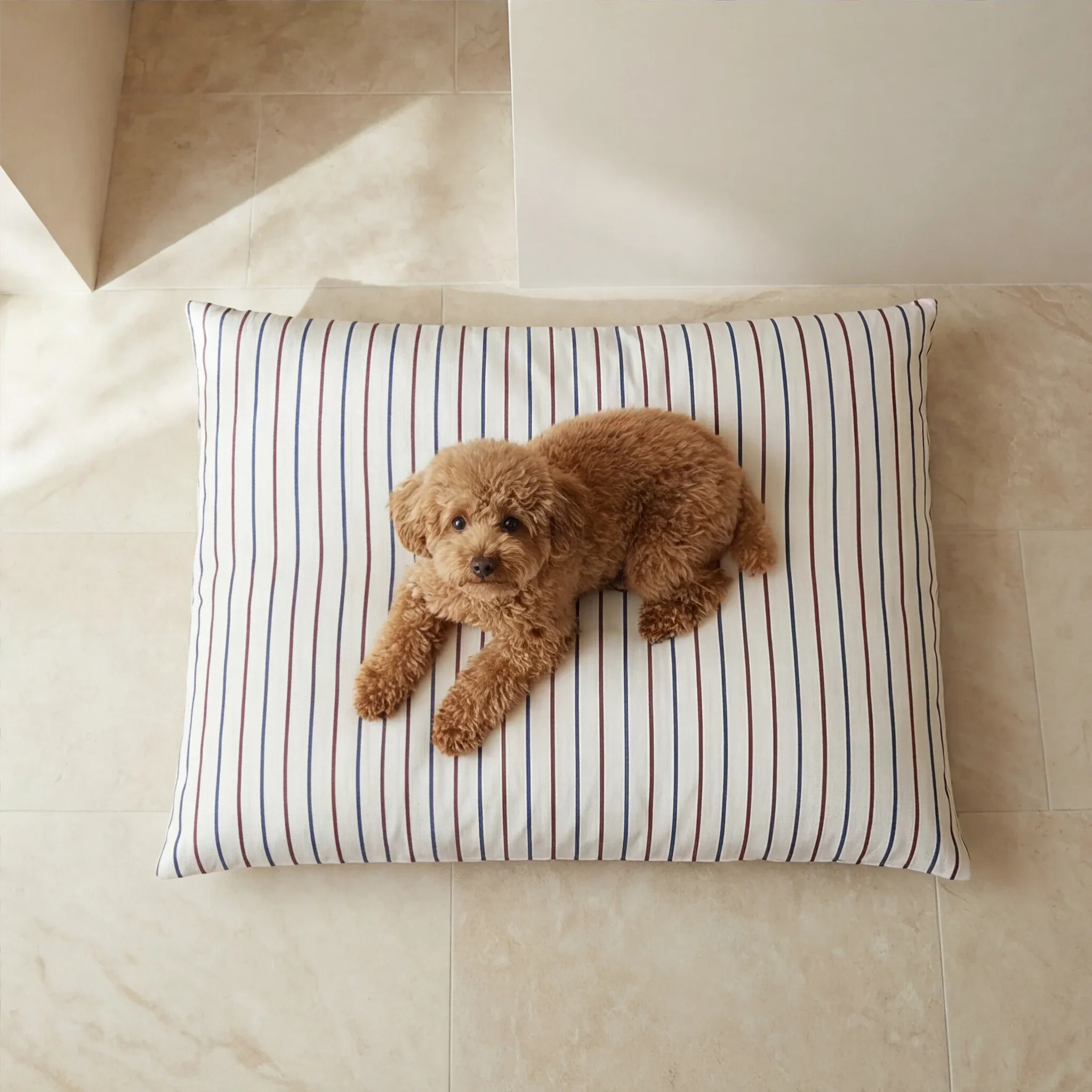 Housse antitaches pour lit pour animal Ximo