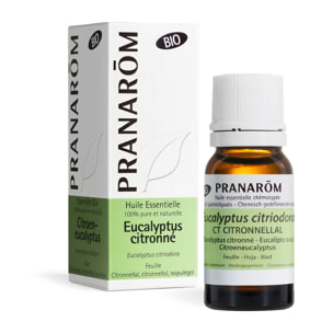 Pranarom - Huile Essentielle d'Eucalyptus citronné - Bio - 10 ml