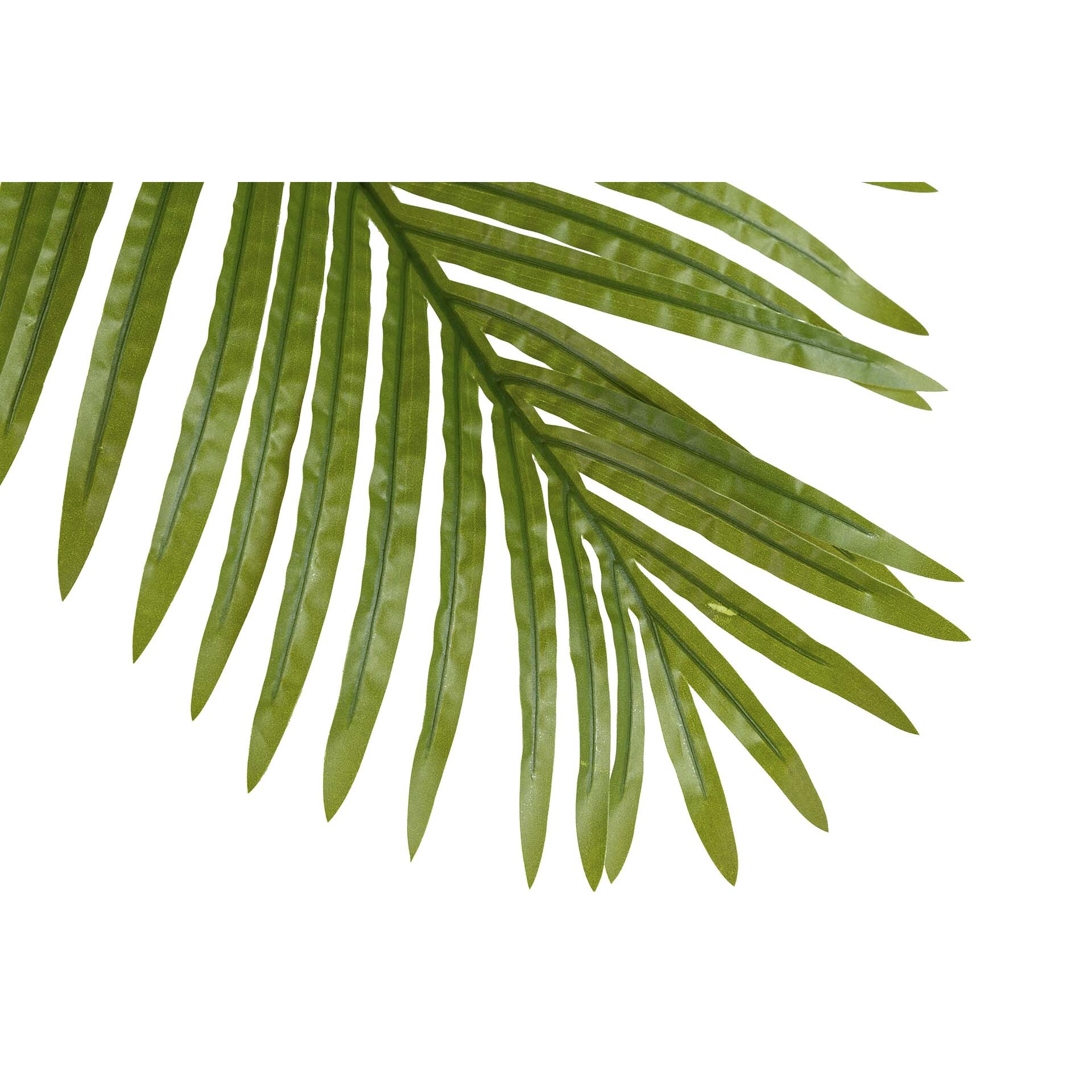 Planta Plamera Areca Con Maceta 80x80x185 Cm