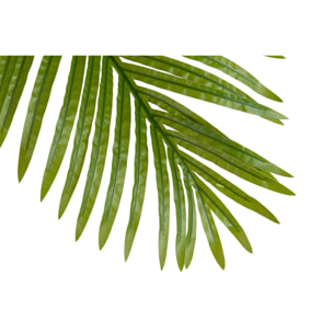 Planta Plamera Areca Con Maceta 80x80x185 Cm