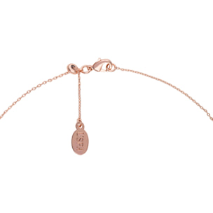 Collana U.S. Polo Assn. In metallo