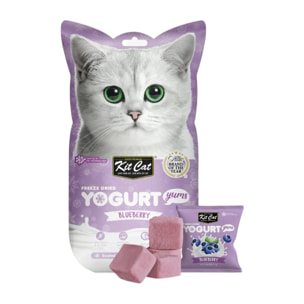 Kit Cat Yogurt Yums Liofilizado Arándano 10g (10 unidades)