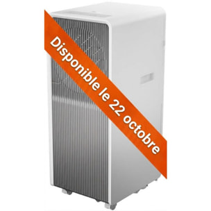 Climatiseur BEKO BP409C