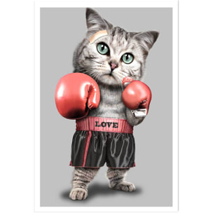 Affiche enfant chat boxeur  Affiche seule