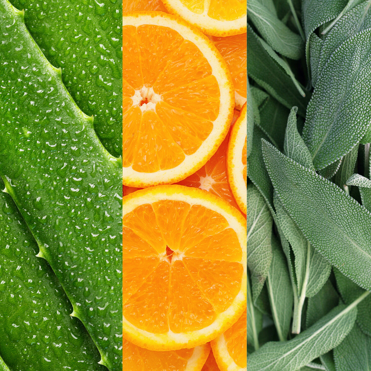 Facial Spray with Aloe,Sage & Orange Blossom - Spray visage à l'aloe vera, sauge et fleur d'oranger